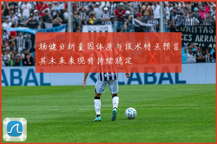 杨健分析奎因体质与技术特点预言其未来表现将持续稳定