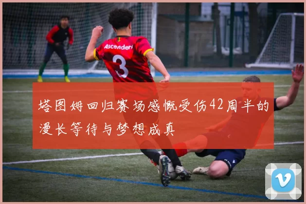 塔图姆回归赛场感慨受伤42周半的漫长等待与梦想成真